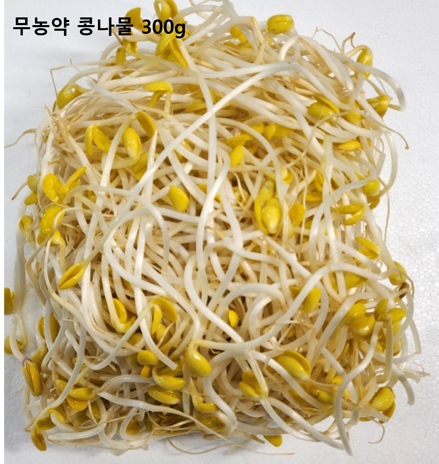 이미지4